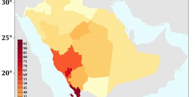サウジアラビアの人口密度の地図